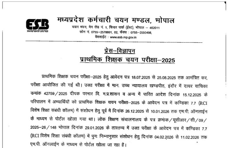 Primary School Teacher